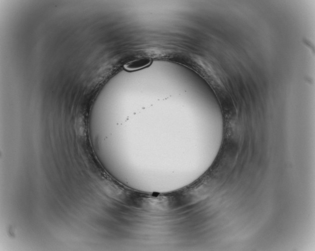 X0000097770317200803211742