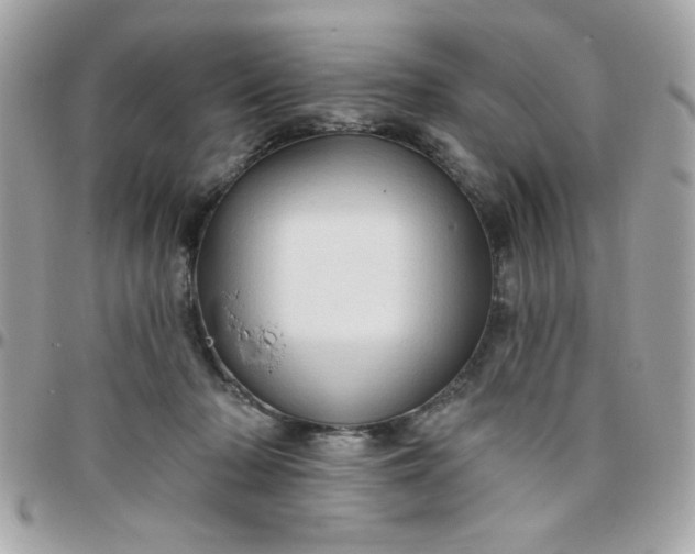 X0000097770318200803211742