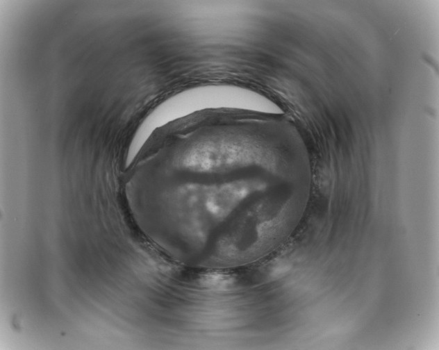 X0000097770319200803211742