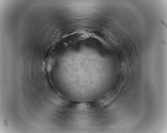 X0000097770320200803211742