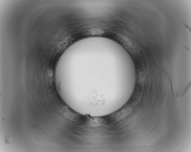 X0000097770321200803211742