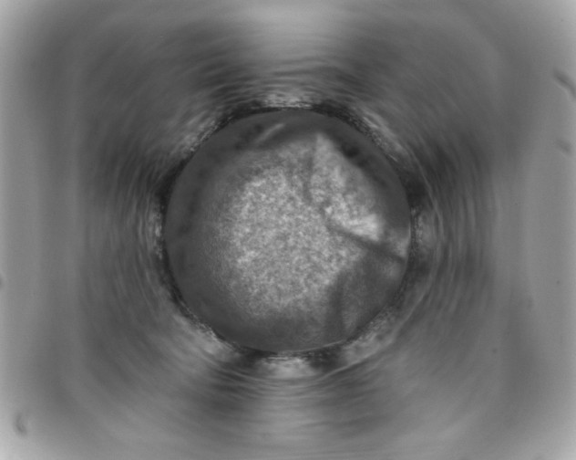 X0000097770322200803211742