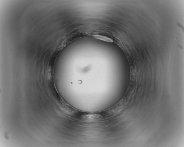 X0000097770323200803211742