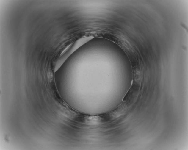 X0000097770324200803211742