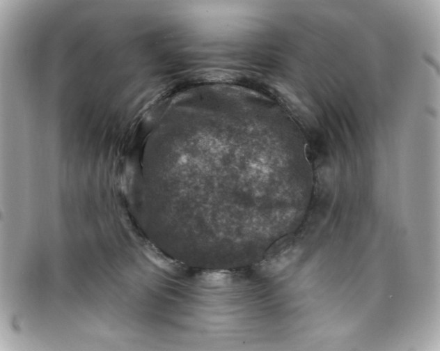 X0000097770325200803211742