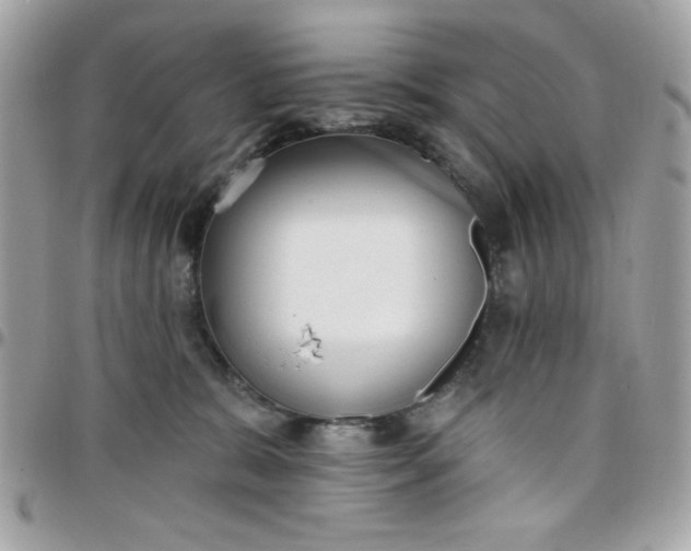 X0000097770327200803211742