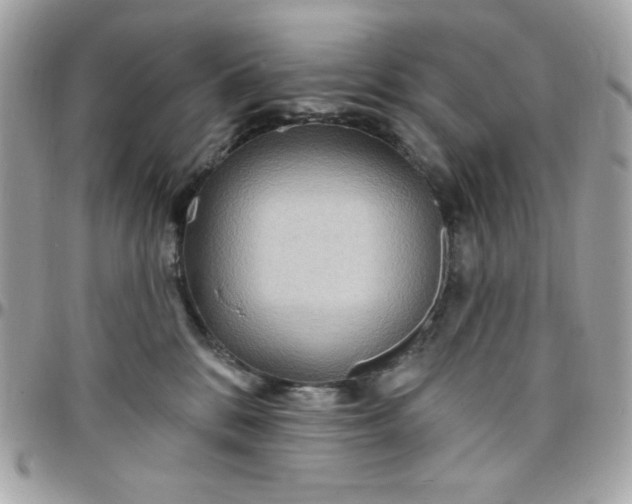 X0000097770328200803211742