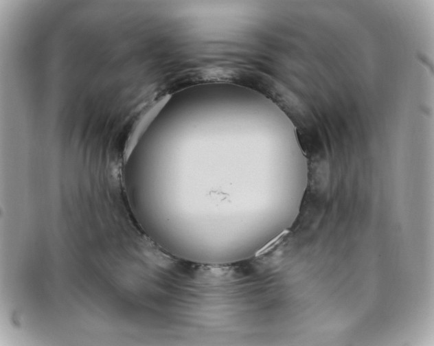 X0000097770329200803211742