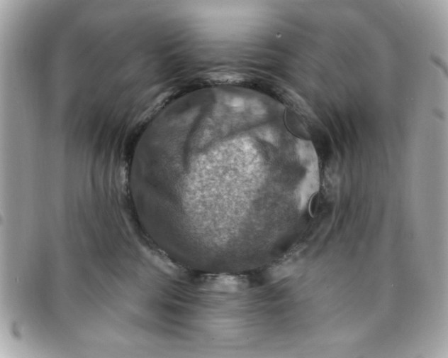 X0000097770330200803211742