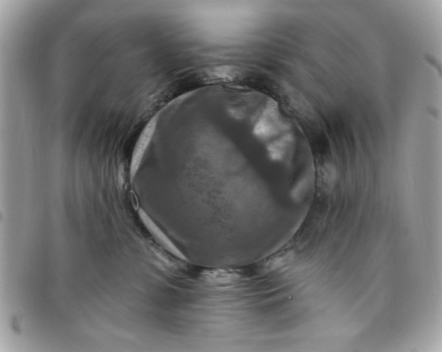 X0000097770331200803211742