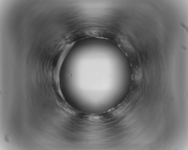 X0000097770332200803211742