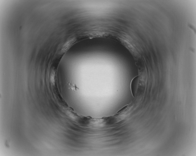 X0000097770334200803211742