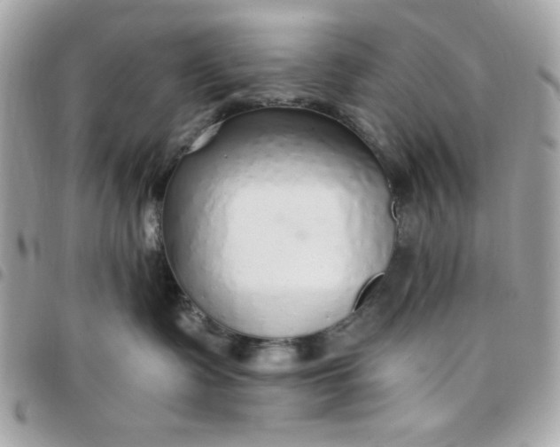 X0000097770335200803211742