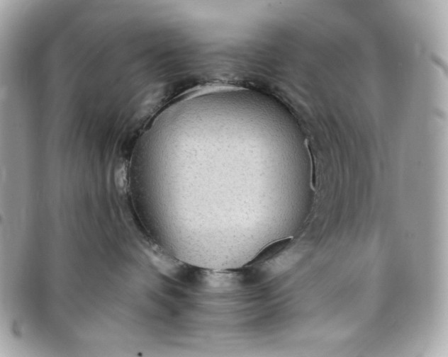 X0000097770336200803211742