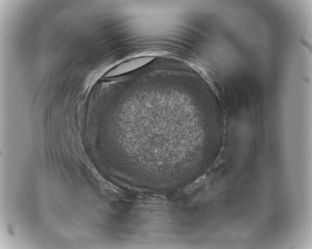 X0000097770337200803211741