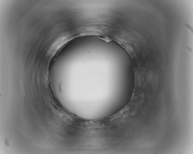 X0000097770338200803211741