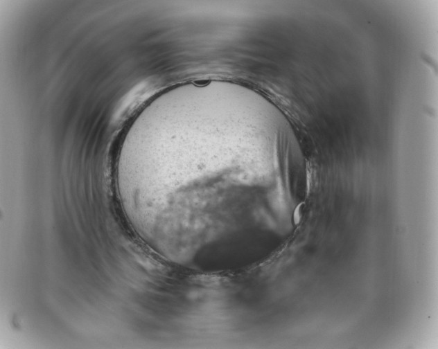 X0000097770339200803211741