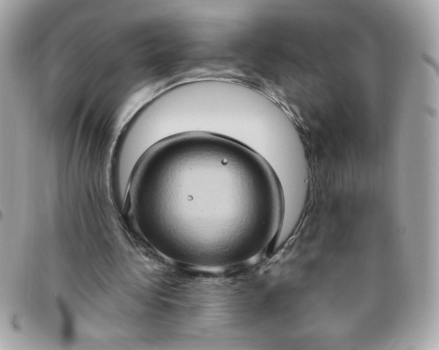 X0000097770340200803211741