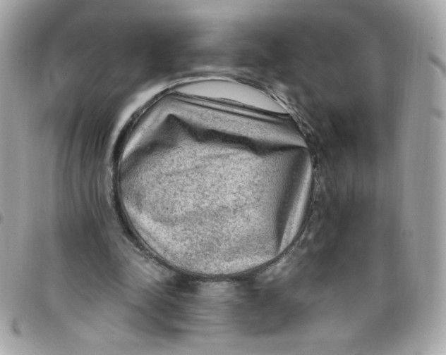 X0000097770342200803211741