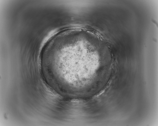 X0000097770343200803211741