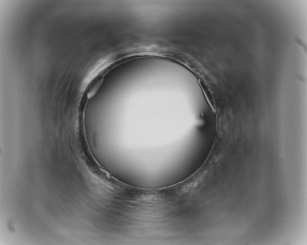 X0000097770344200803211741