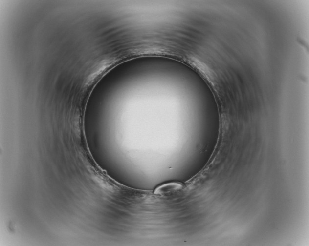 X0000097770345200803211741