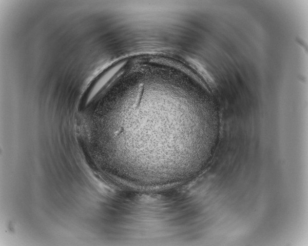 X0000097770346200803211741