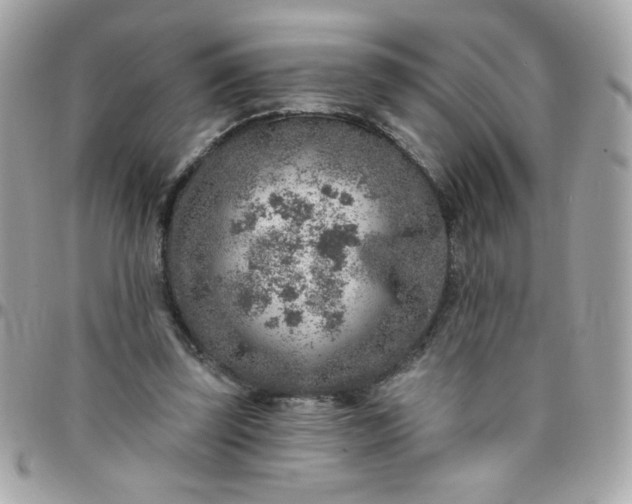 X0000097770347200803211741