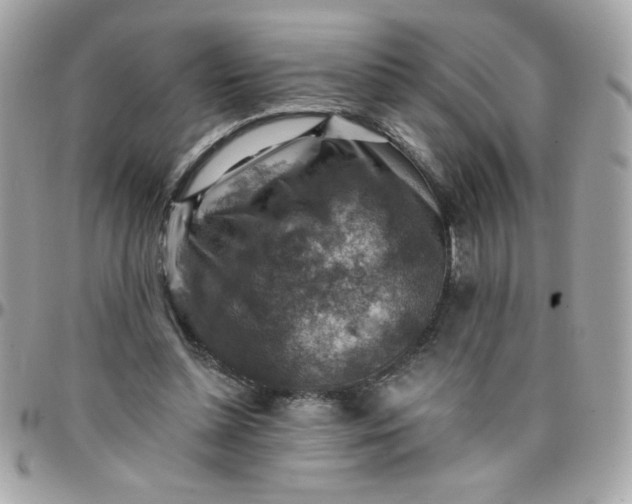 X0000097770348200803211741