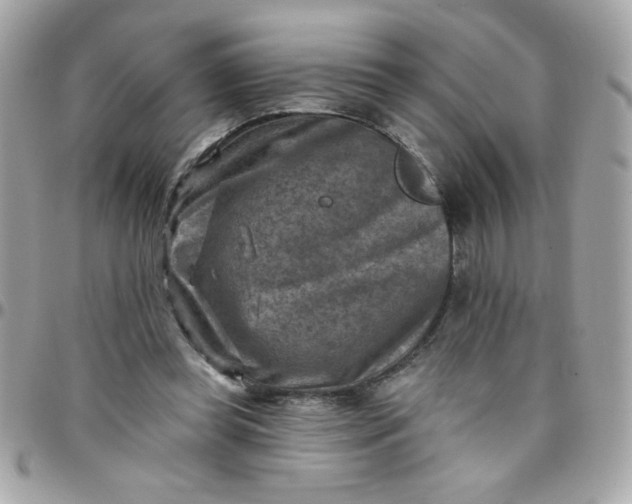 X0000097770349200803211741