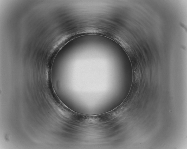 X0000097770350200803211741