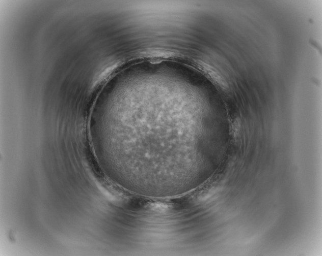 X0000097770352200803211741