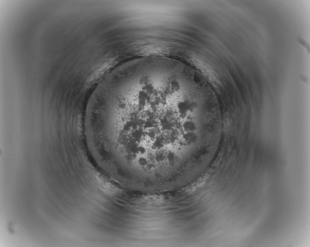 X0000097770353200803211741