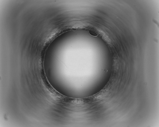 X0000097770354200803211741