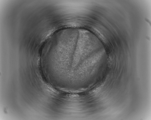 X0000097770355200803211741