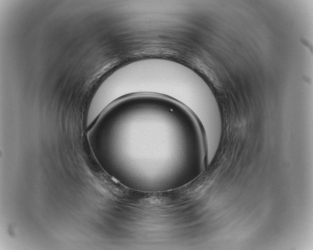 X0000097770356200803211741