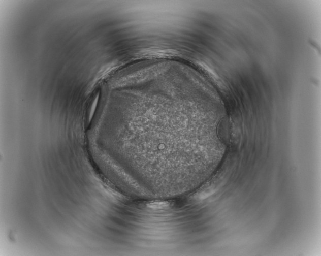 X0000097770357200803211742