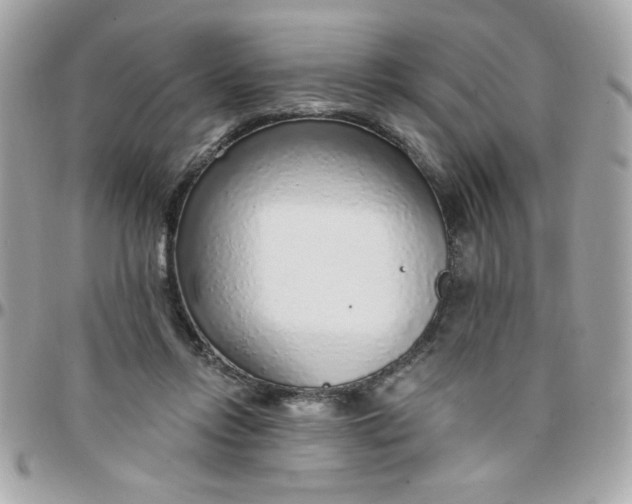 X0000097770358200803211742