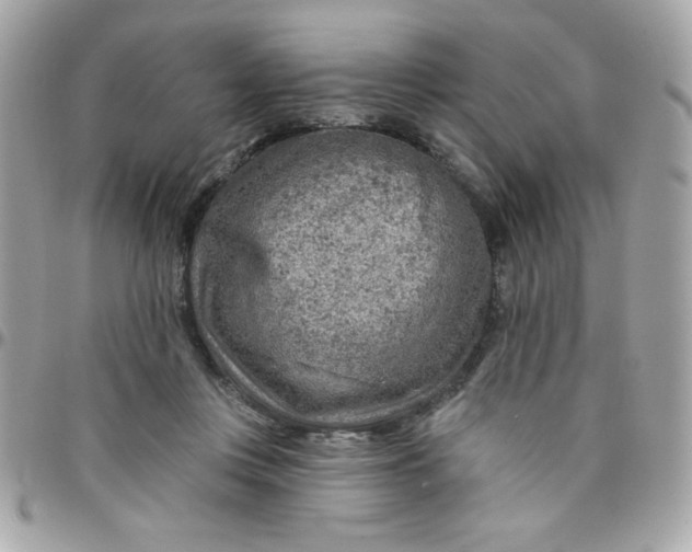 X0000097770359200803211742