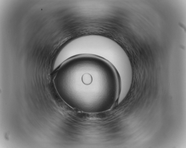 X0000097770360200803211742