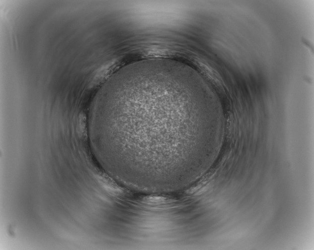 X0000097770361200803211742