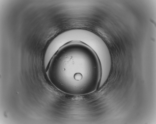 X0000097770362200803211742