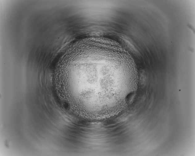 X0000097770363200803211742