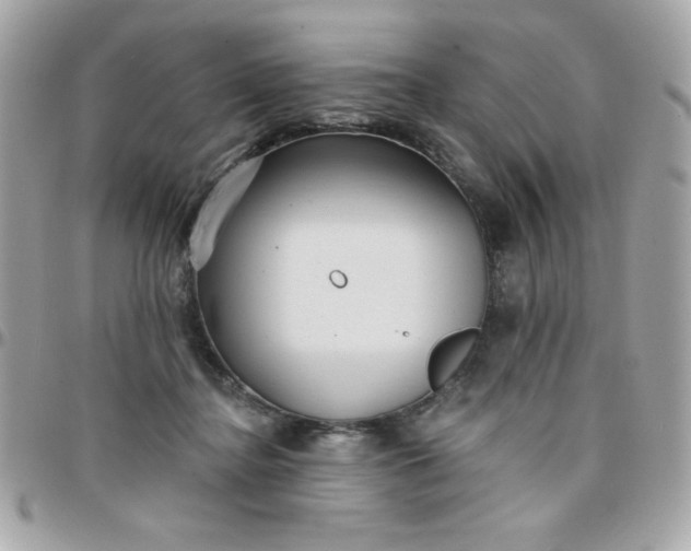 X0000097770364200803211742