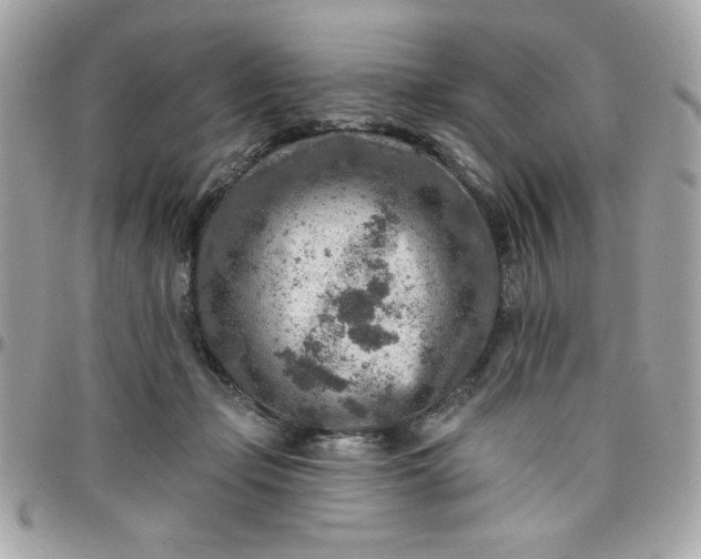 X0000097770365200803211742