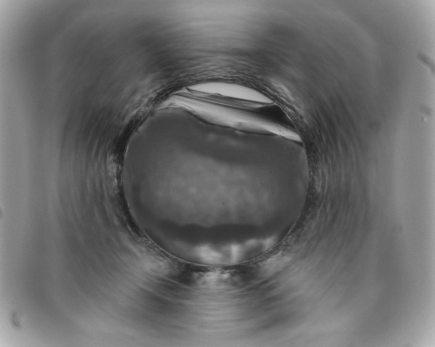 X0000097770366200803211742