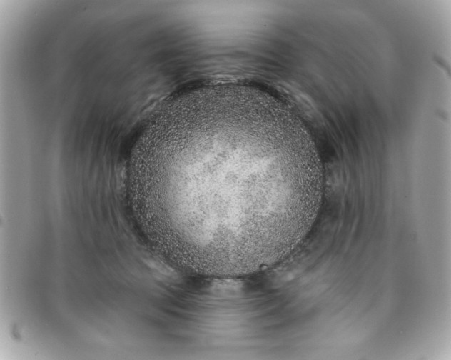 X0000097770369200803211742