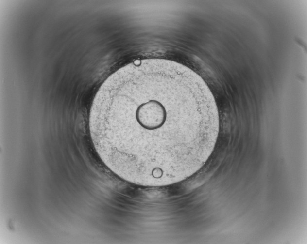 X0000097770370200803211742