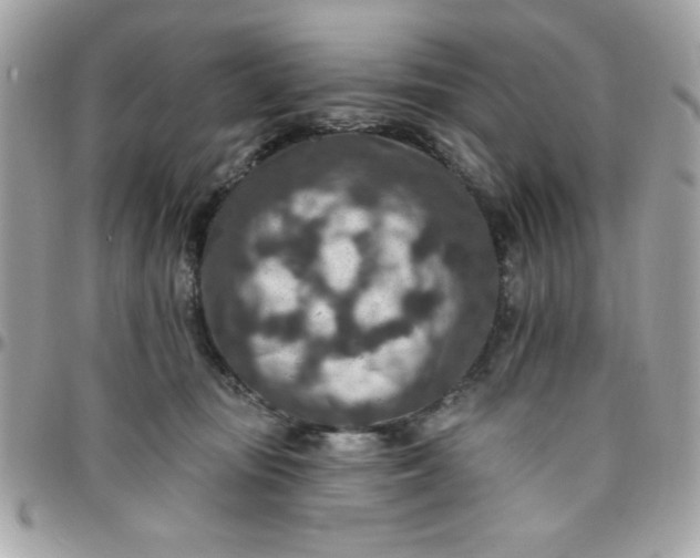 X0000097770371200803211742