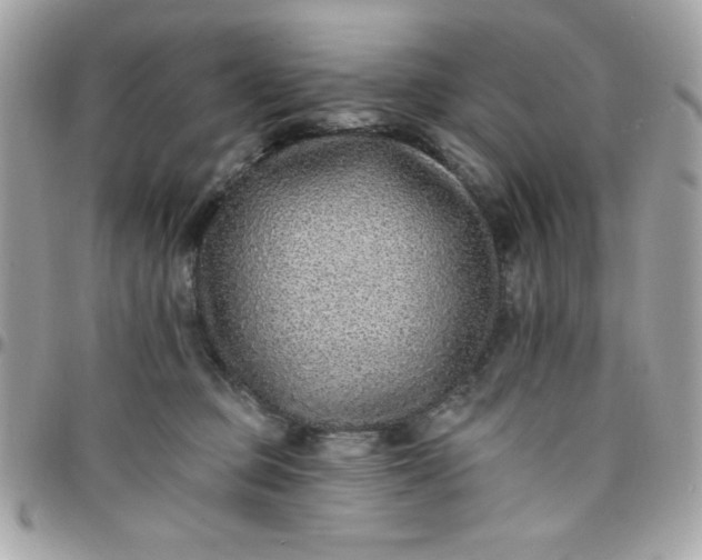 X0000097770373200803211742